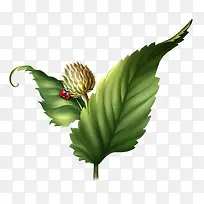 彩色春天植物-空若网 彩色春天植物-空若网