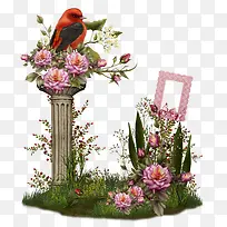 ��ɫ��ɫ��������-������