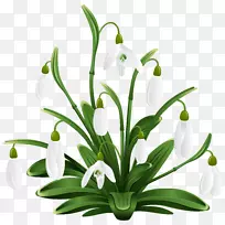 免费摄影剪贴画-雪滴-空若网 免费摄影剪贴画-雪滴-空若网