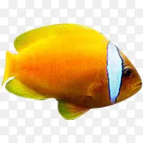 ������Ӱ����С��-������