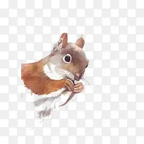 �ɰ�������-������