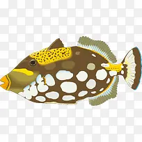 可爱鱼儿海底鱼矢量素材-空若网 可爱鱼儿海底鱼矢量素材-空若网