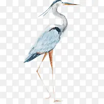 水彩画丹顶鹤矢量-空若网 水彩画丹顶鹤矢量-空若网