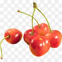 红色鲜艳樱桃-空若网 红色鲜艳樱桃-空若网