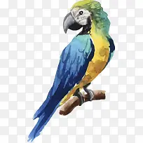 树枝上的小鸟-空若网 树枝上的小鸟-空若网