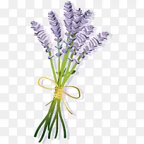 ×ÏÉ«±âƽ·ç¸ñÒõÓ°Þ¹Ò²Ý-¿ÕÈôÍø ×ÏÉ«±âƽ·ç¸ñÒõÓ°Þ¹Ò²Ý-¿ÕÈôÍø