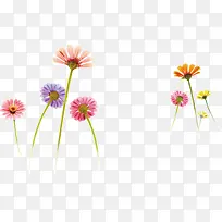 水彩画美丽彩色花卉-空若网 水彩画美丽彩色花卉-空若网