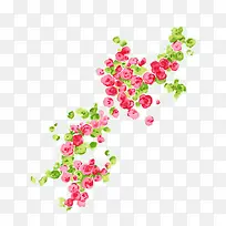 水彩花卉-空若网 水彩花卉-空若网