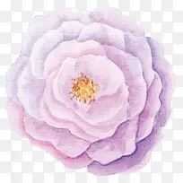 ˮ�ʻ�����-������