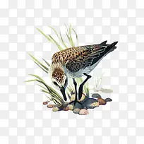 ʸ��ˮ��-������