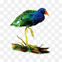 矢量水彩鸟-空若网 矢量水彩鸟-空若网