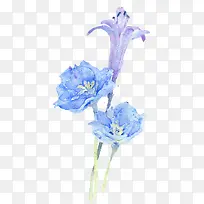 手绘水彩花朵-空若网 手绘水彩花朵-空若网