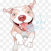 一只爱吃的狗-空若网 一只爱吃的狗-空若网