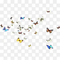 ��ɫ�׷ɴ������-������