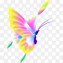 彩色纷飞蝴蝶中秋-空若网 彩色纷飞蝴蝶中秋-空若网
