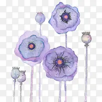 水彩花卉-空若网 水彩花卉-空若网