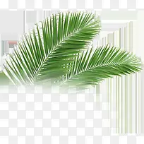 ������Ӱ�׵�Ҭ����Ч��-������