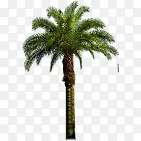 ������Ӱ���ߵ�Ҭ����-������