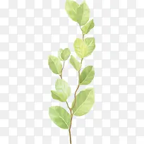 树枝绿叶PNG下载-空若网 树枝绿叶PNG下载-空若网