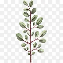 手绘树枝PNG下载-空若网 手绘树枝PNG下载-空若网