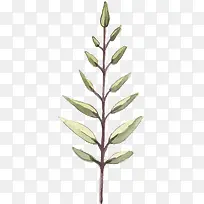 手绘树枝PNG下载-空若网 手绘树枝PNG下载-空若网