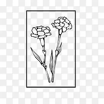 �����α߿�������仨-������