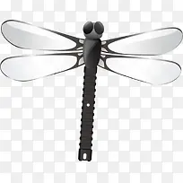 矢量蜻蜓-空若网 矢量蜻蜓-空若网