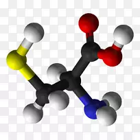 °ëë×°±Ëá°±»ùËáë×°±Ëáµ°°×½á¹¹-¿ÕÈôÍø °ëë×°±Ëá°±»ùËáë×°±Ëáµ°°×½á¹¹-¿ÕÈôÍø