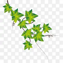 �ֻ���ɫ����ֲ��-������