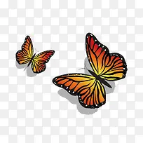 卡通蝴蝶PNG下载-空若网 卡通蝴蝶PNG下载-空若网