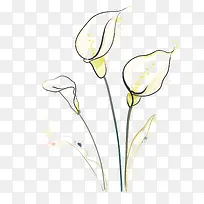 卡通插画白色风信子PNG-空若网 卡通插画白色风信子PNG-空若网