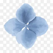 灰色水彩花朵-空若网 灰色水彩花朵-空若网