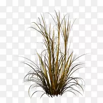 ×ÏÉ«ÅçȪ²Ýƺ²ÝÉãÓ°.Ë®²ÊÖ²Îï-¿ÕÈôÍø ×ÏÉ«ÅçȪ²Ýƺ²ÝÉãÓ°.Ë®²ÊÖ²Îï-¿ÕÈôÍø