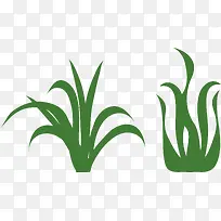 水边的小草卡通五角星小草-空若网 水边的小草卡通五角星小草-空若网