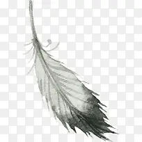 �ֻ���ë-������