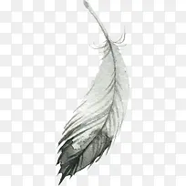 �ֻ���ë-������