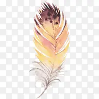 手绘羽毛-空若网 手绘羽毛-空若网