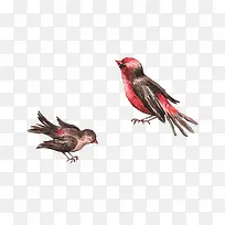 手绘两只燕子-空若网 手绘两只燕子-空若网