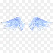白色天使羽毛-空若网 白色天使羽毛-空若网