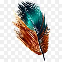 手绘多彩羽毛-空若网 手绘多彩羽毛-空若网