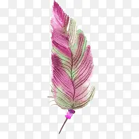 �ֻ���ë-������