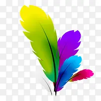 彩色羽毛-空若网 彩色羽毛-空若网