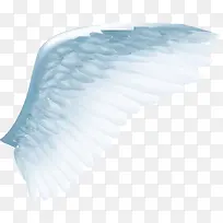 淡蓝色羽毛翅膀-空若网 淡蓝色羽毛翅膀-空若网