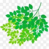 树枝-空若网 树枝-空若网