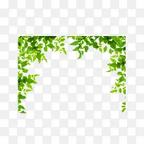 ��ɫ��Ҷ�߿�-������