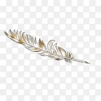 手绘羽毛-空若网 手绘羽毛-空若网