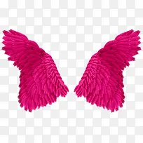 Ư���ķۺ�ɫ��ë���-������