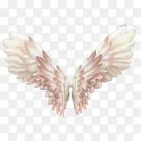 洁白的翅膀素材图片-空若网 洁白的翅膀素材图片-空若网