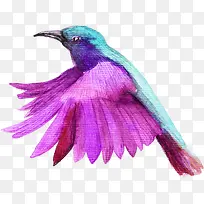 ��ɫ����С��-������