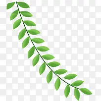 Ò»ÌõÊ÷Ö¦ÊÖ»æ²å»-¿ÕÈôÍø Ò»ÌõÊ÷Ö¦ÊÖ»æ²å»-¿ÕÈôÍø